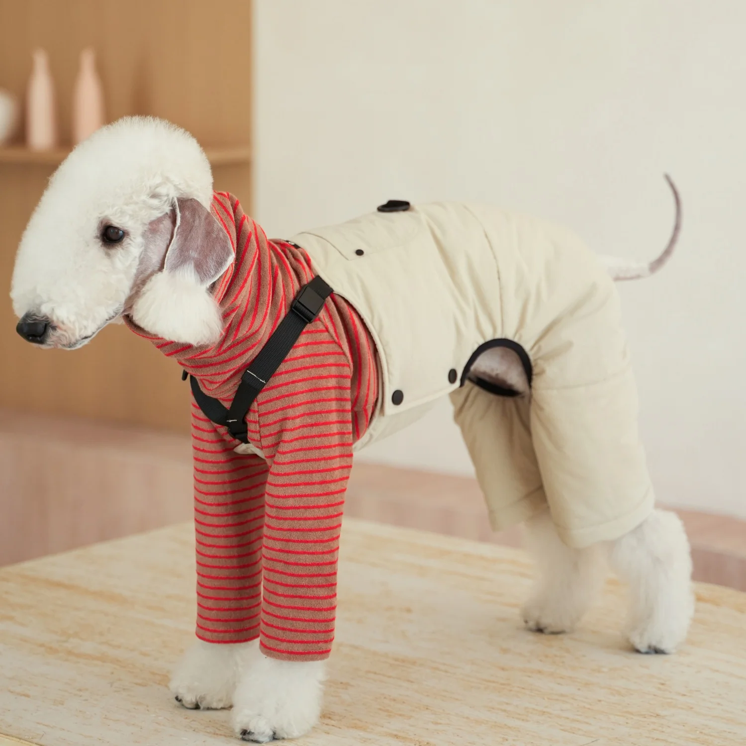Mono cargo de algodón grueso y cálido para Bedlington Otoño Invierno Manga larga Camiseta de rayas rojas blancas Traje de pantalón suave para whippet Traje clásico de estilo británico para perros medios en clima frío - imagen 5