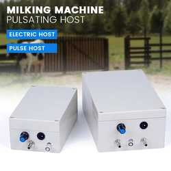 Bomba de vacio electrica 12V para ordeñadora - accesorio ganadero