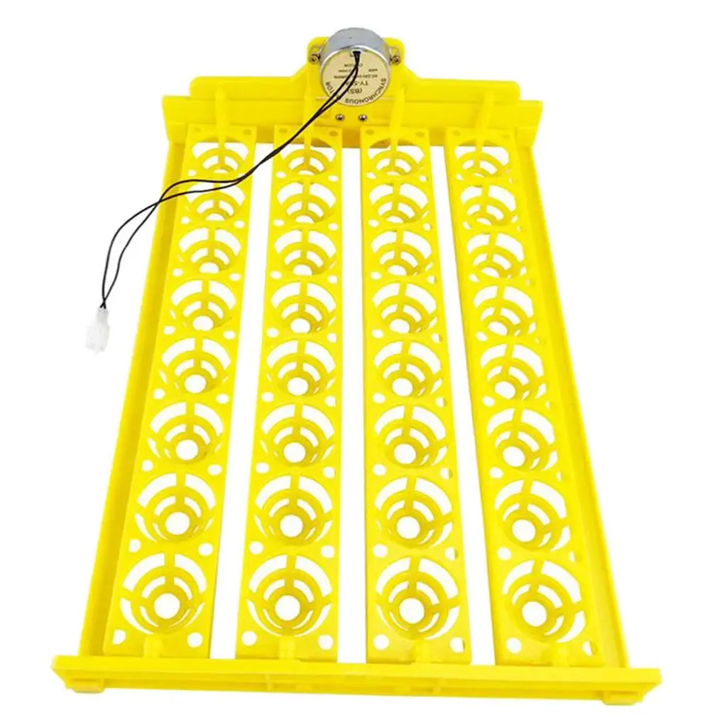 Egg Incubator Tray Automatic Turning Small er Household 220V 32 Eggs Tray for Bird Poultry Chick Duck Eggs Egg Incubator Tray Automatic Turning Small er Household 220V 32 Eggs Tray for Bird Poultry Chick Duck Eggs