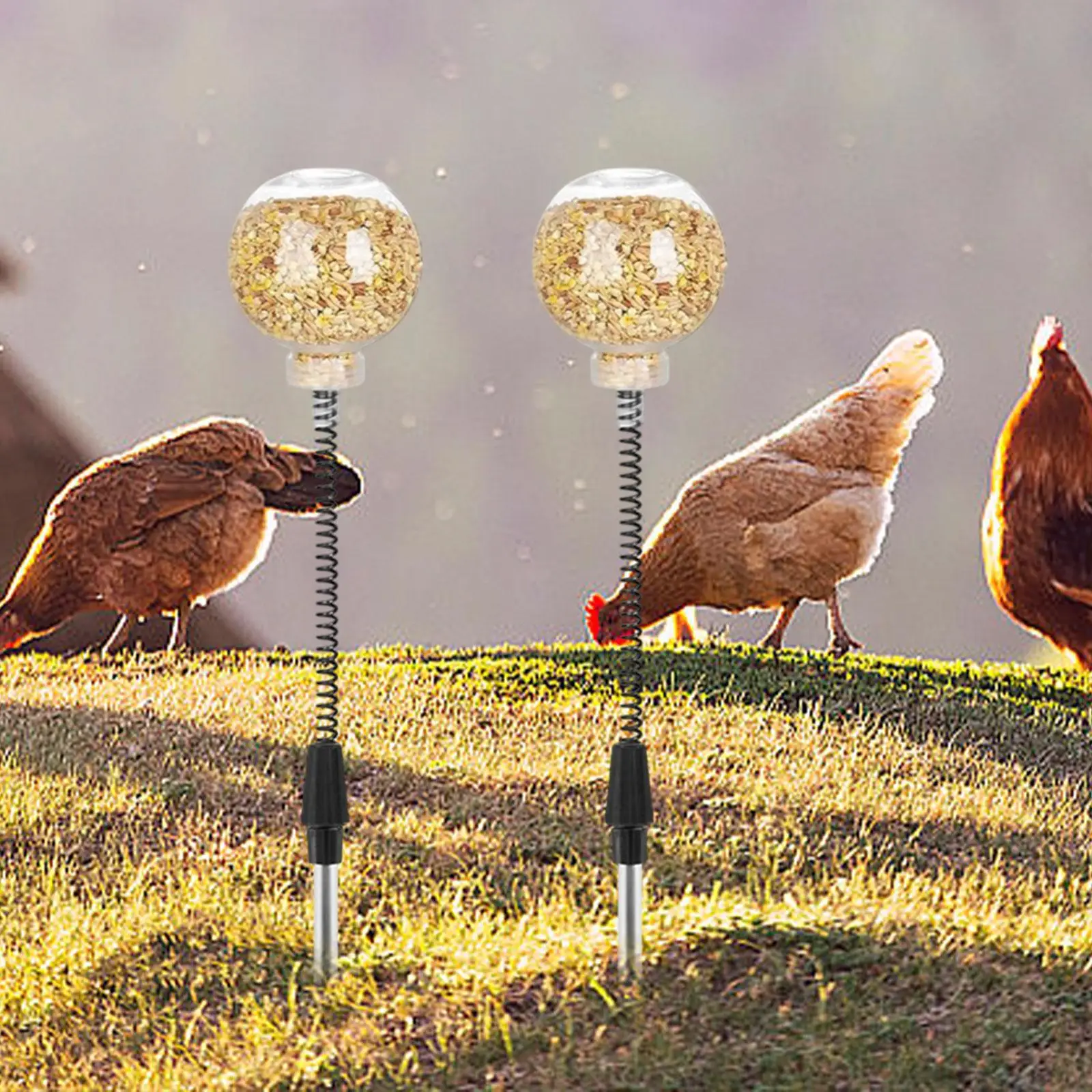 2x Chicken Peck Toy Slow Feeder Slow feed Release Toy for Birds Duck Parrots