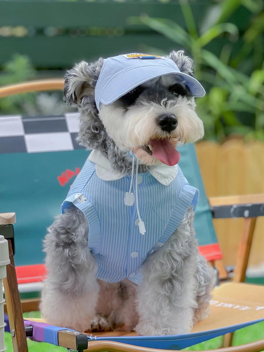 Camiseta azul de verano con sombrero para Schnauzer, ropa transpirable a la moda para perros pequeños, medianos y grandes, Pomerami Bichon - imagen 4
