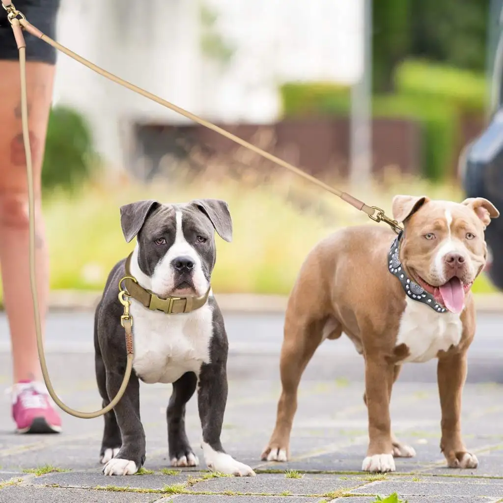 Correa de cuero para perro, doble acoplador, correas para perros de 1 vía y 2 vías, cuerda duradera para caminar para mascotas, Pitbull, Bulldog Francés, Pug - imagen 5