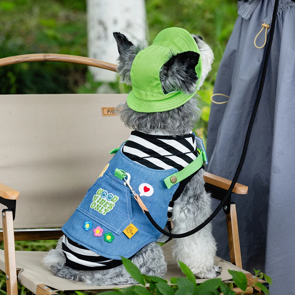 Chaleco de cuerda de plomo ajustable para perros y gatos, correa de plomo práctica para caminar al aire libre para primavera y verano, accesorios para mascotas y gatos pequeños - imagen 2