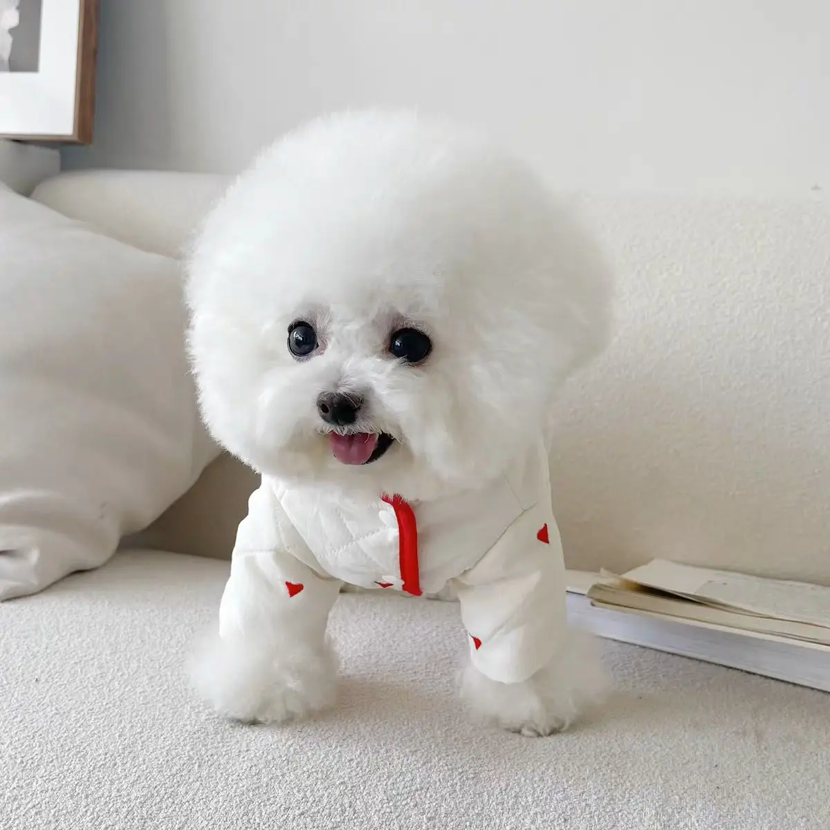 Ropa de algodón de felpa para mascotas, abrigo de botón de tiro con lazo, oso de peluche, perro, gato, falda, ropa para perros, ropa para cachorros, nuevo estilo, otoño, invierno - imagen 2