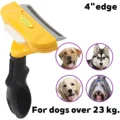 for large dogs