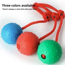Juguete indestructible para perros con cuerda – Masticar y entrenar