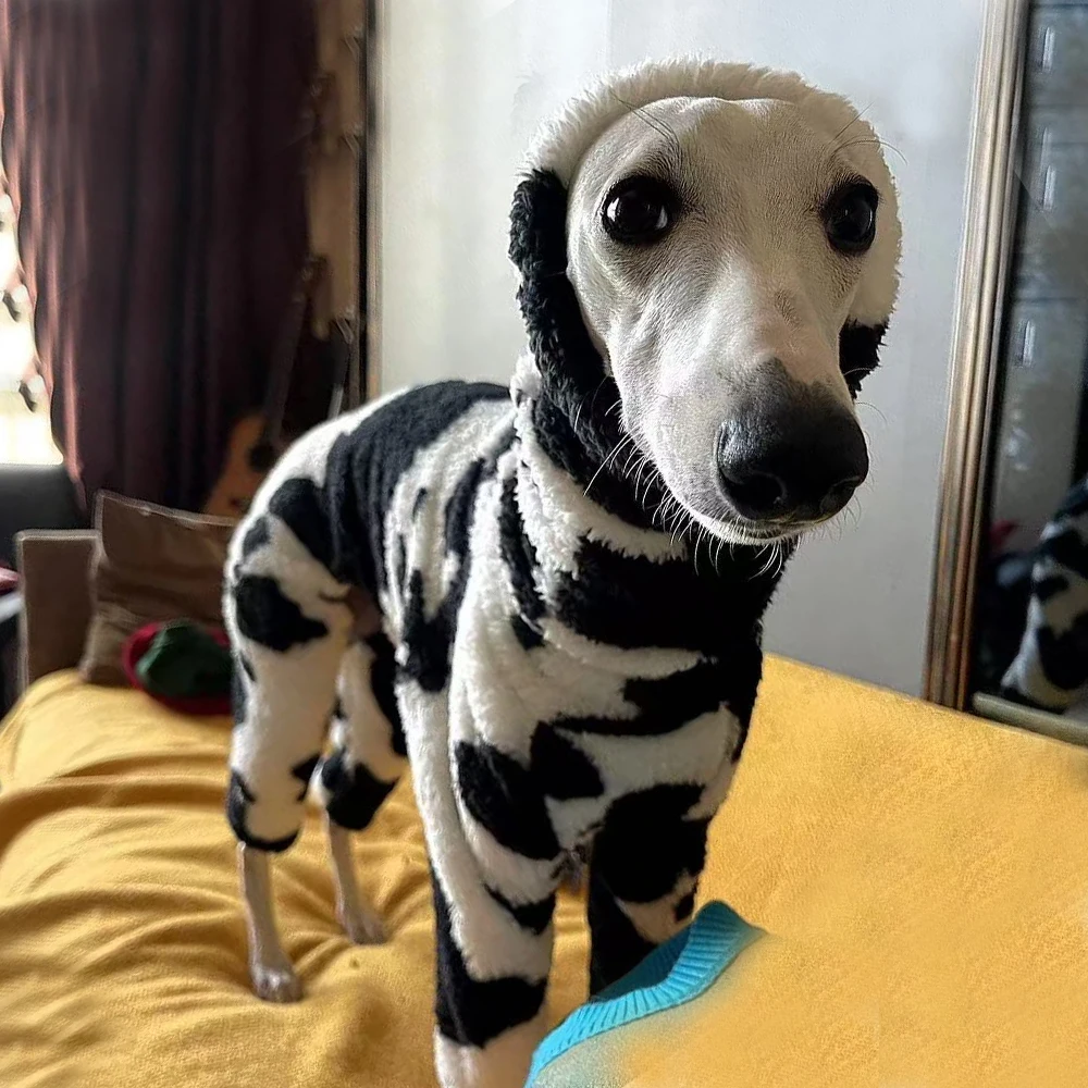 Ropa para perros, chaqueta de invierno de 4 patas para galgo italiano, sudadera blanca negra para perros Whippet, abrigo cálido para Terrier