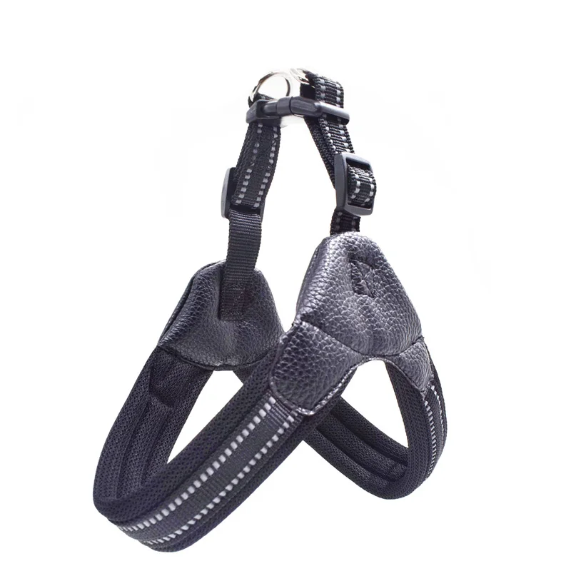 Harness Black