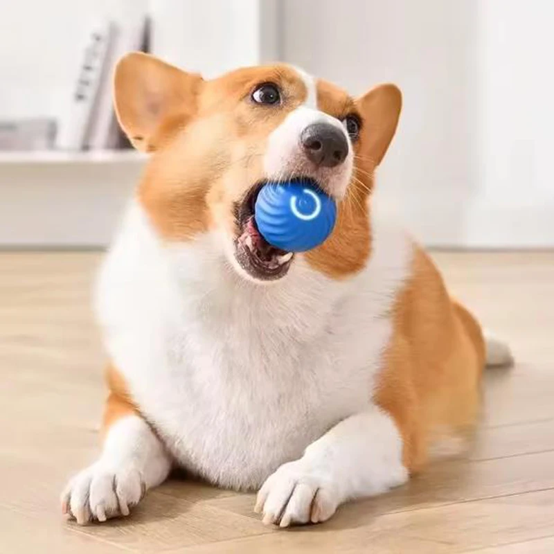 Juguetes inteligentes para perros, pelota para saltar por gravedad, pelota rodante recargable resistente a mordeduras, juguetes interactivos para perseguir gatos y perros - imagen 4