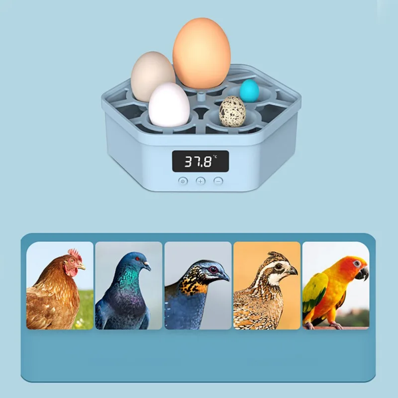 Incubadora de huevos inteligente automática, accesorios de suministros para mascotas, pollo, pato, Paloma, pájaro, codorniz, loro - imagen 5