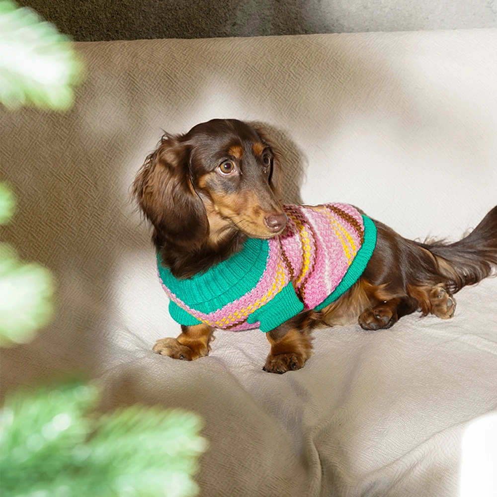 Moda perros Wiener sudadera a rayas ropa hecha a mano dulce suéter abrigo para perros salchicha en Otoño Invierno - imagen 4