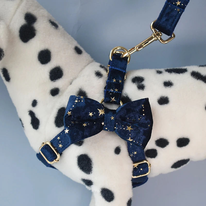Collares de identificación personalizados para cachorros, logotipo grabado gratis para perros pequeños, medianos y grandes, American Cocker Spaniel Star 02 - imagen 2