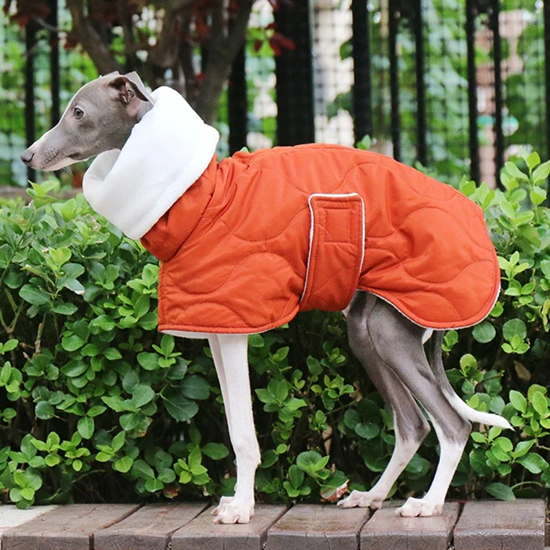 Abrigos grandes y cálidos para perros, Chaqueta de algodón de galgo, protección del cuello, ropa de diseñador de lujo para perros con cinturón, suministros gruesos para mascotas, invierno - imagen 5