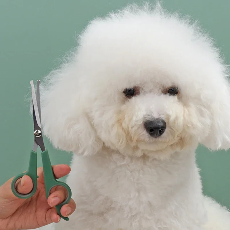 Tijeras de pelo para mascotas, acero inoxidable, corte de pies de animales, recorte de pelo de oreja, puntas redondeadas de seguridad - imagen 5