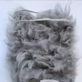 Gray Back Hair