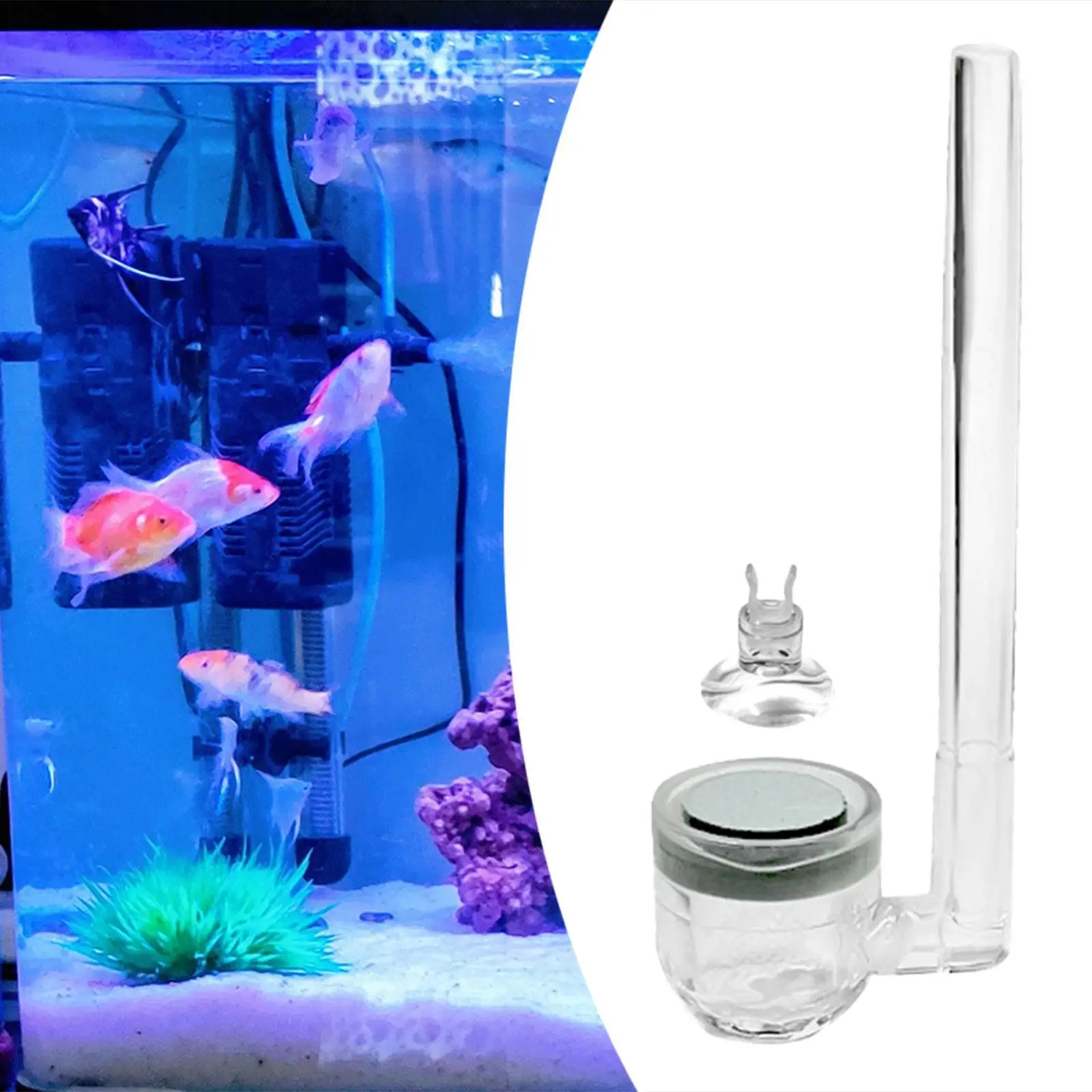 CO2 Diffuser Fish Tank Bubble Diffuser Quiet Aquarium Bubbler Aquarium Air Dics for Small Bucket Circulation System Pond