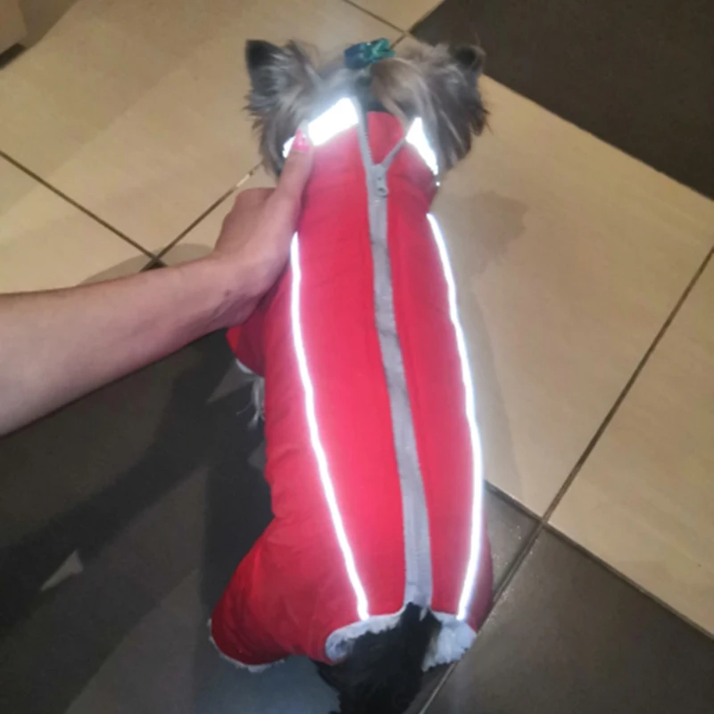 Mono para perro masculino y femenino, monos de invierno para mascotas para perros pequeños, ropa gruesa y cálida para cachorros y gatos, Chihuahua, perro salchicha maltés - imagen 4