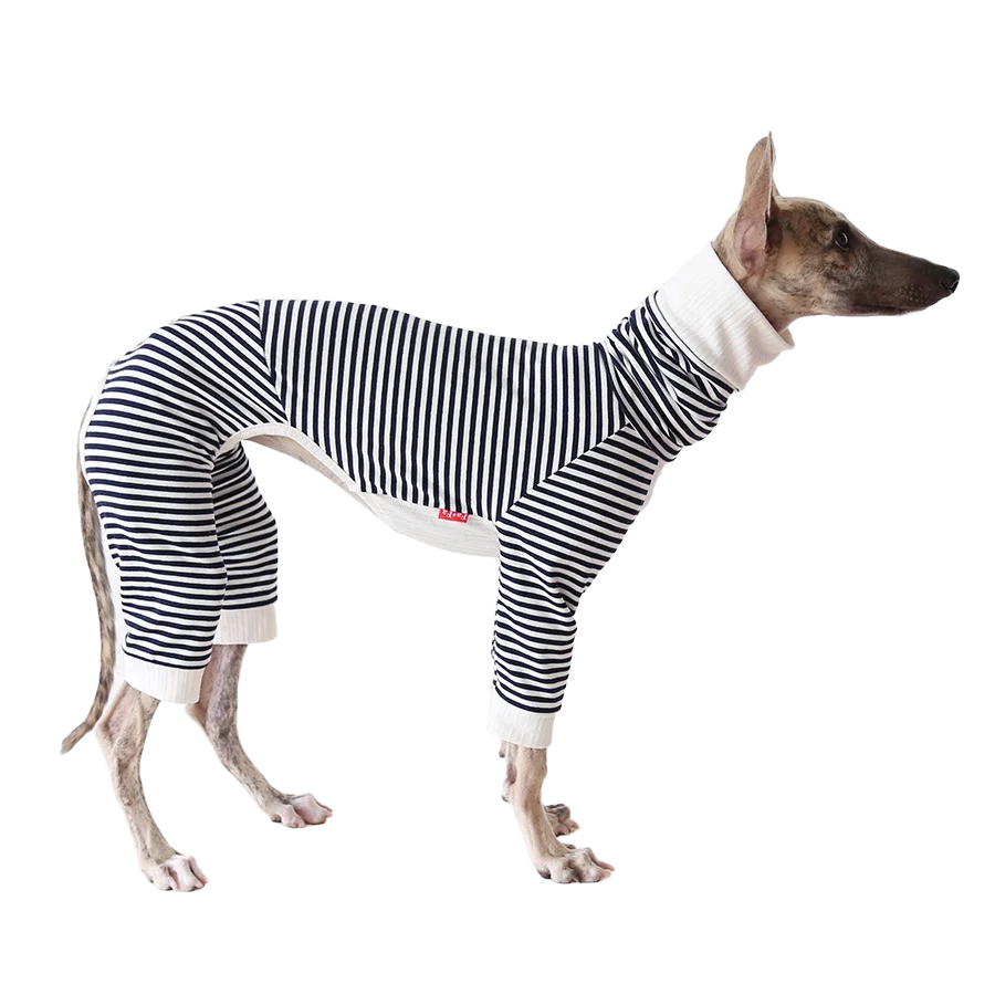 Mono elástico para galgo italiano y whippet – Cómodo traje con rayas - imagen 2