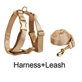 Harness   leash