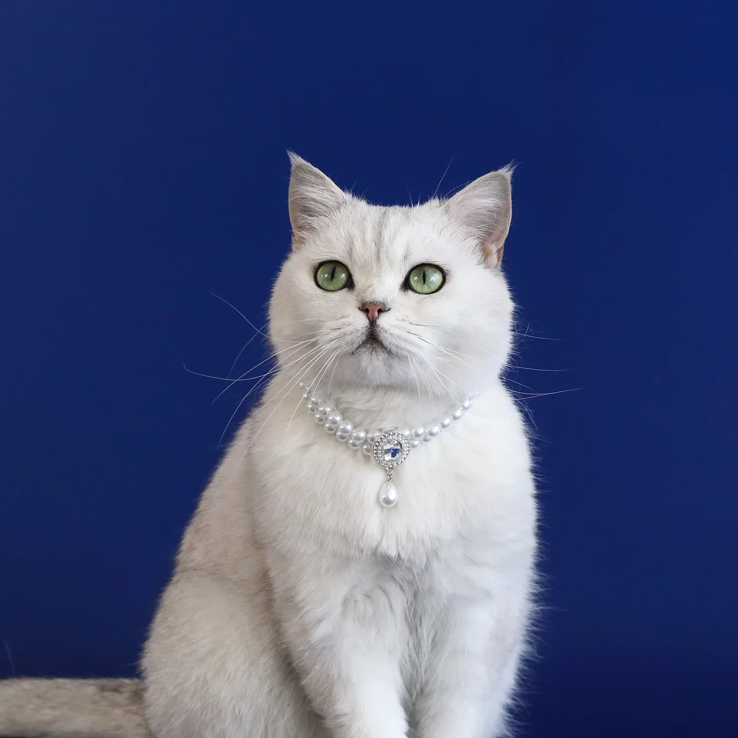 Collar de perlas ajustable para perro y gato, joyería con colgante de diamante, Collar de lujo para mascota, accesorios para disfraz de boda, cumpleaños y graduación - imagen 5