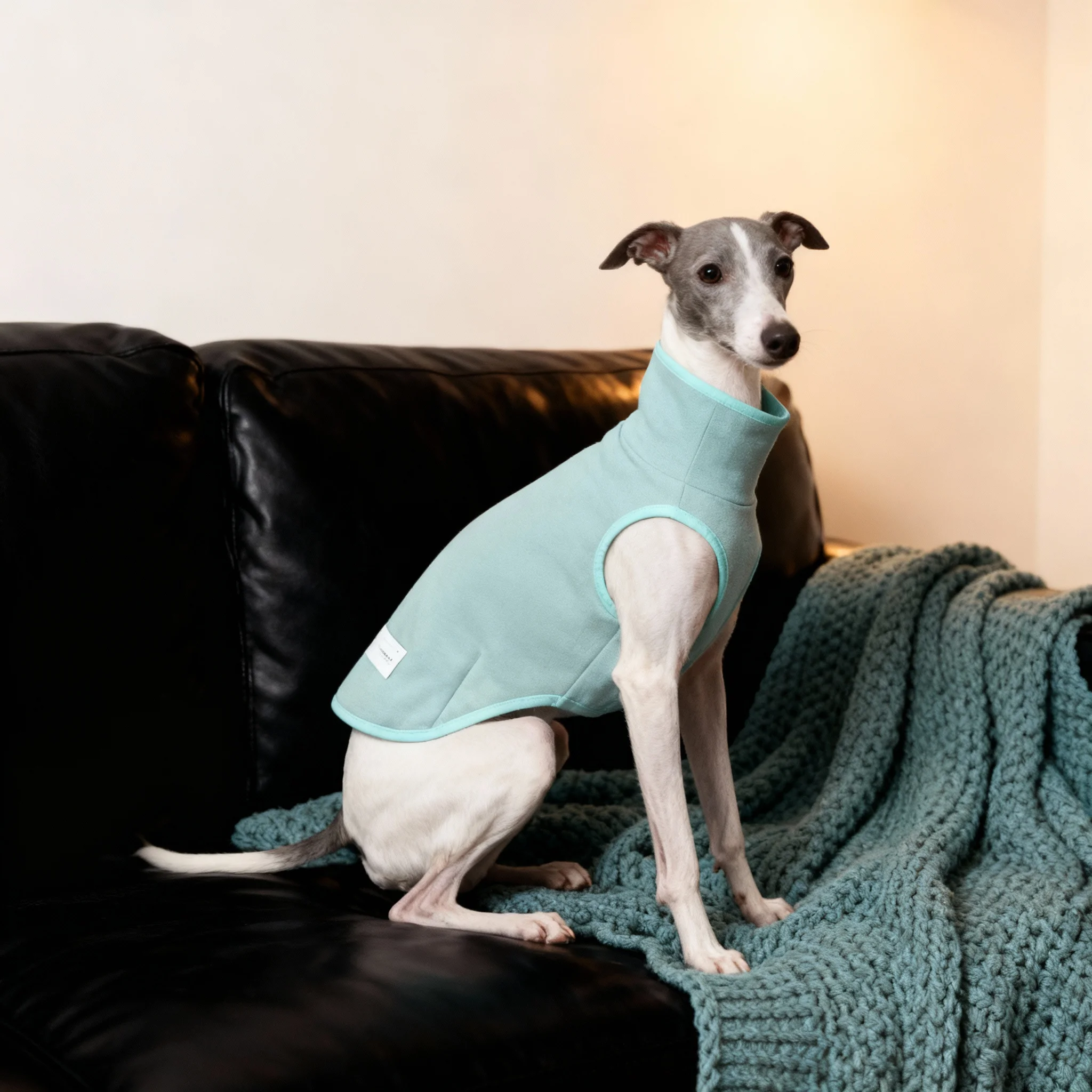 Chaleco lana cálido para perros Whippet – Abrigo otoño invierno - imagen 4