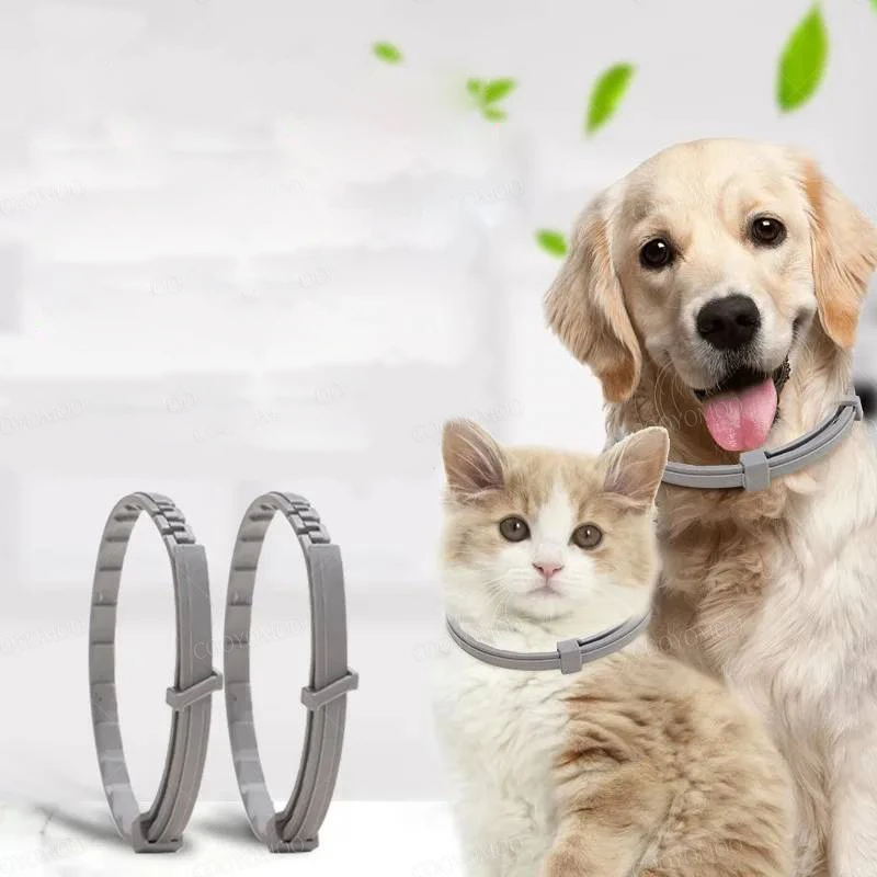 Collares ajustables para perros pequeños y gatitos – Varios colores - imagen 3