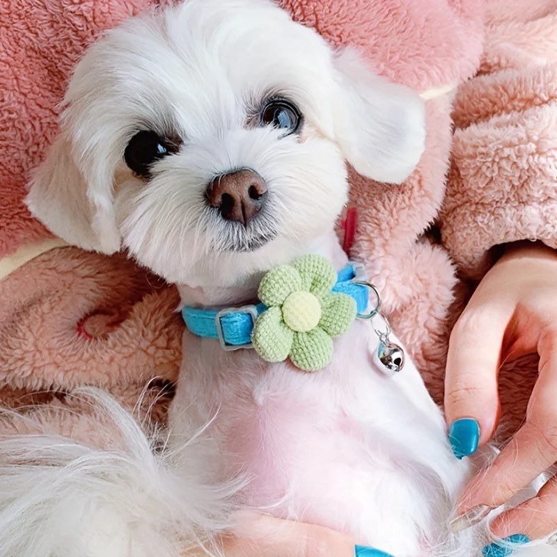 Collier de Chat à Carreaux Réglable, Noeud, Parfait pour Festif, RefWear, 1 Pièce - imagen 5