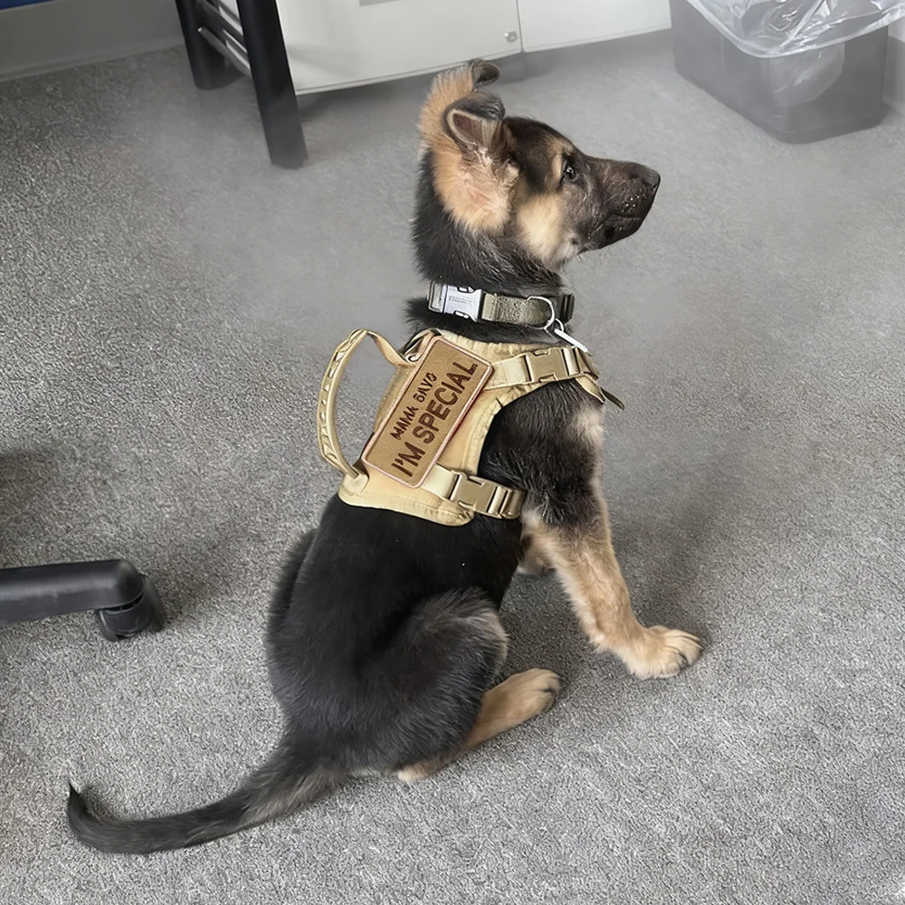 Arnés táctico de estilo militar con correa para gatos y perros pequeños, chaleco ajustable para mascotas para paseos al aire libre, entrenamiento y aventuras