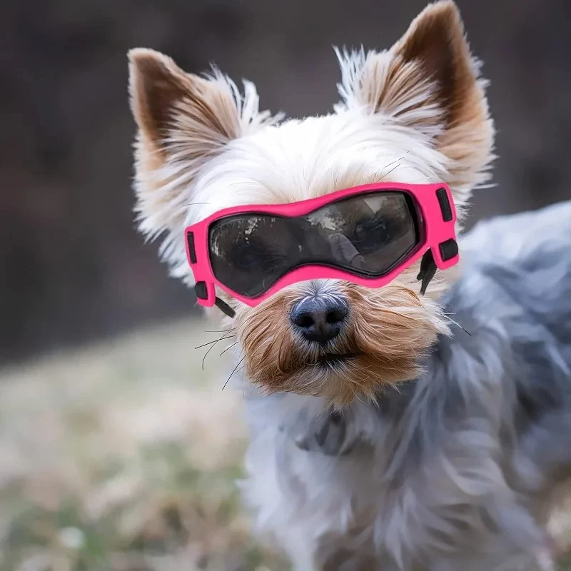 Gafas para perros de razas pequeñas, gafas de sol para perros de razas pequeñas, gafas de protección UV para cachorros pequeños, conducción al aire libre
