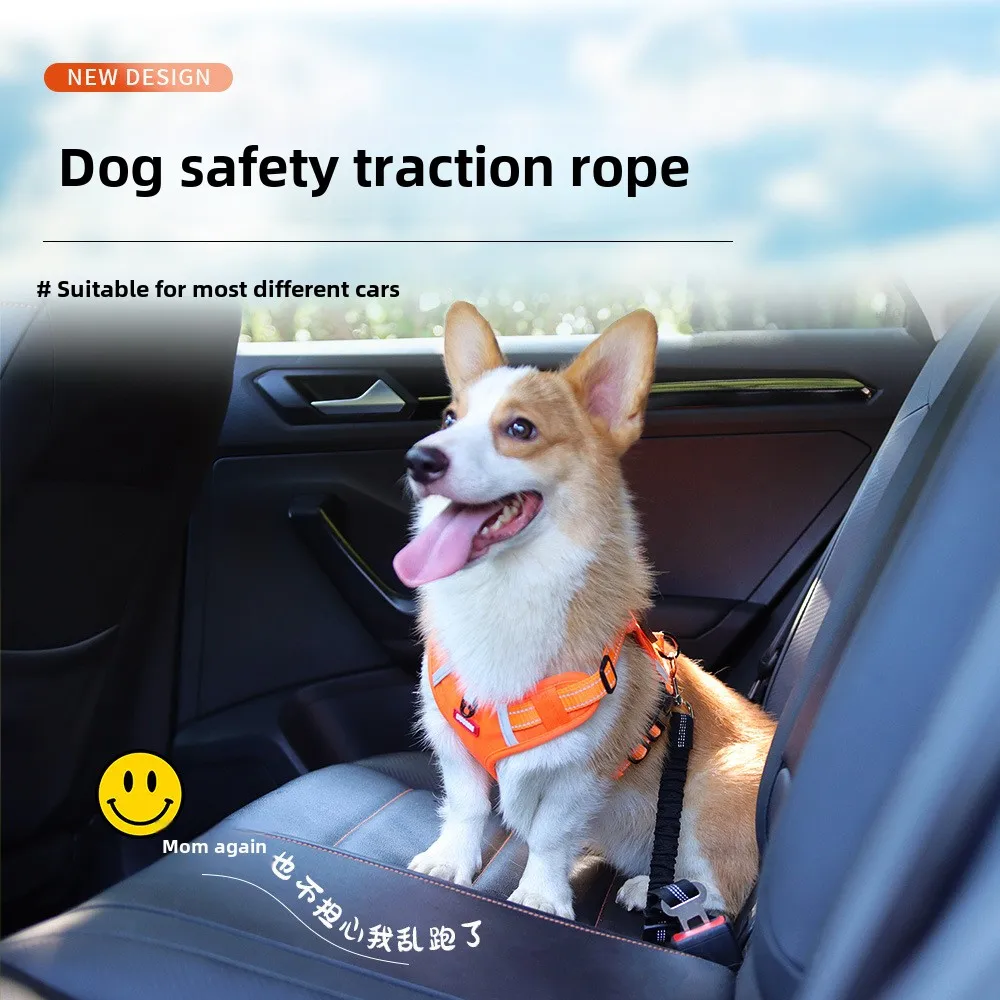 Correa de coche para mascotas, cuerda de seguridad para coche para perros, cuerda de seguridad ajustable, correa para perros
