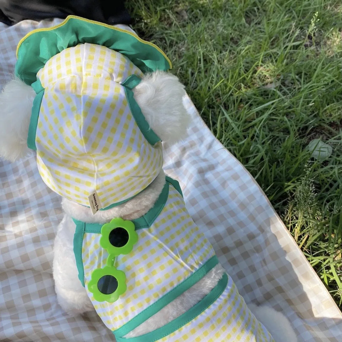 Ins-gafas de sol coreanas con protección UV para mascotas, accesorios creativos para perros pequeños y gatos - imagen 3