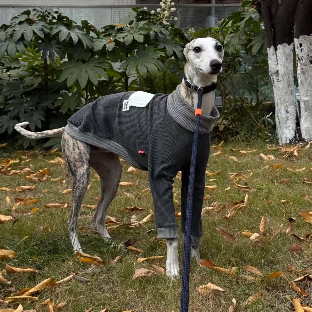 Camiseta gris de algodon cuello alto para perros galgo y Whippet