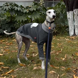 Camiseta gris de algodon cuello alto para perros galgo y Whippet