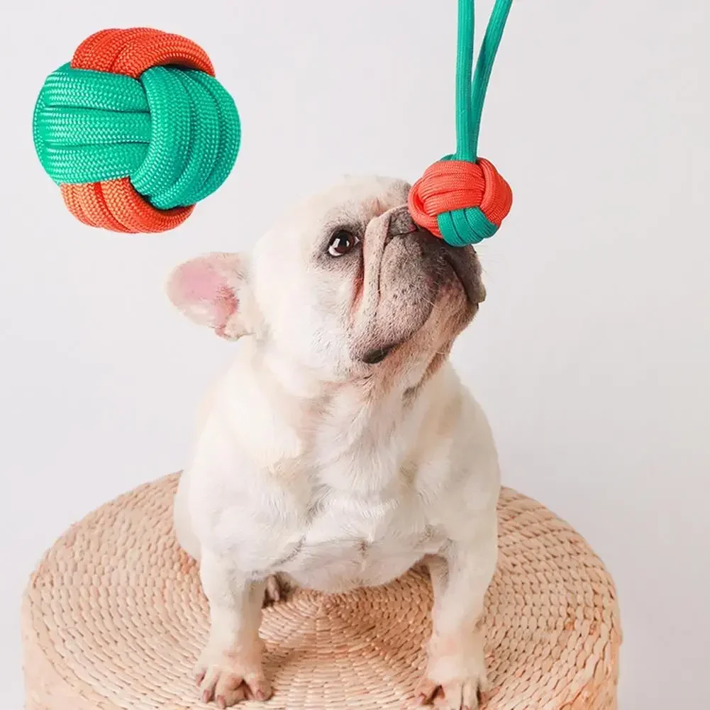 Juguete para masticar para perros, resistente a mordeduras, interactivo, de algodón, para rechinar los dientes, cuerda para perros, bola con nudo, accesorios para mascotas, 1 ud. - imagen 5