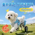 blue two wheels