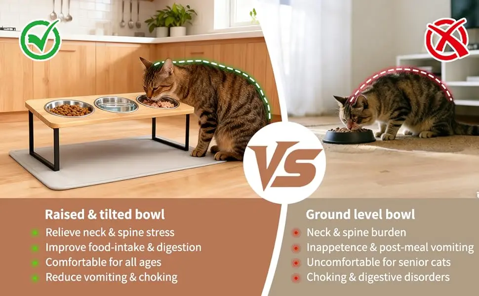 Detalle de tazones para gato