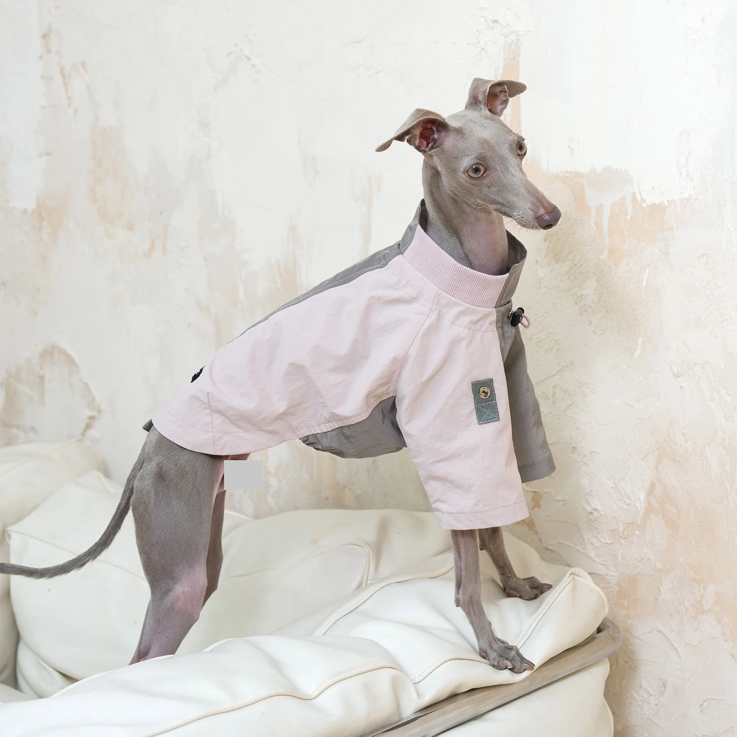 Chaqueta impermeable para Galgo Italiano – Abrigo ultraligero verde - imagen 2