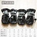Black single shoes