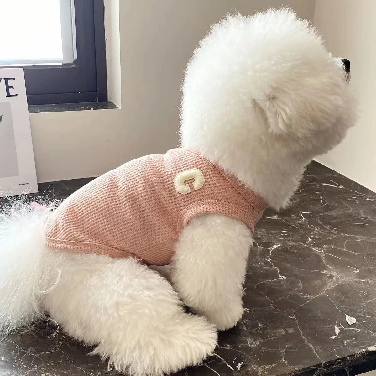 Chaleco para perros, ropa para gatos, cuatro colores de tela de poliéster, transpirable, resistente al sudor, fácil de limpiar, visualización divertida - imagen 4