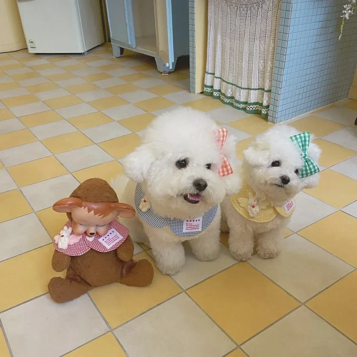 Linda capa de conejo a cuadros INS, bufanda para mascotas, gato y perro, decoración de toalla de agua para la boca, accesorios para perros pequeños, Collar para perros - imagen 2