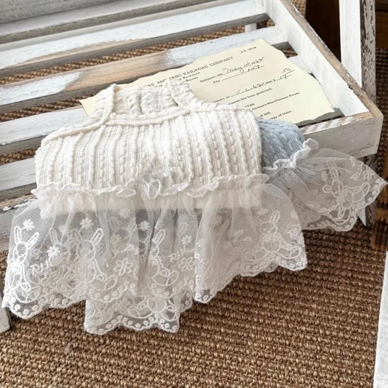 Vestido a cuadros de verano para mascotas, ropa para gatos, talla fina, cachorro, Teddy, lazo de Yorkshire, camiseta sin mangas de encaje, ropa para cachorros - imagen 4