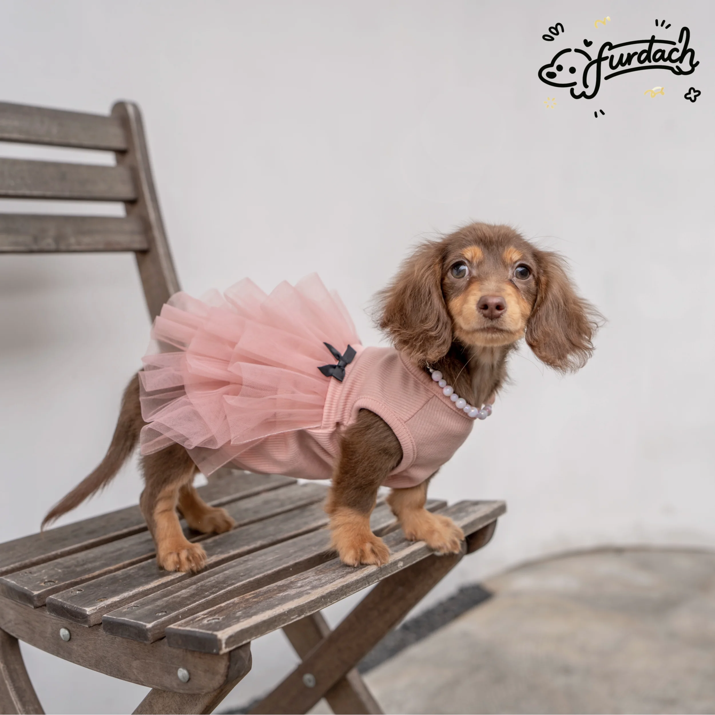 Vestido morado para perrito