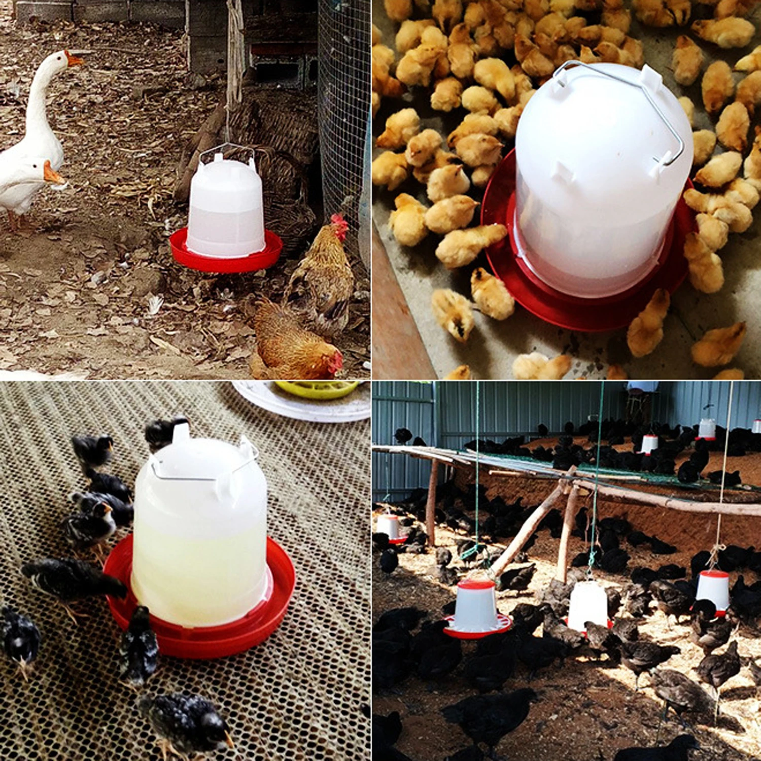 Cubo alimentador rojo para pollo y pato, 1,5 kg/3L, con pierna, fuente de comida para aves de corral, pollo, gallina, tapa, mango, suministros de riego, 1 ud. - imagen 5