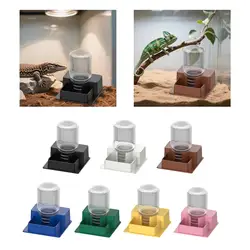 Contenedor alimentador de agua automático para reptiles, plato de agua para tortuga Geckos