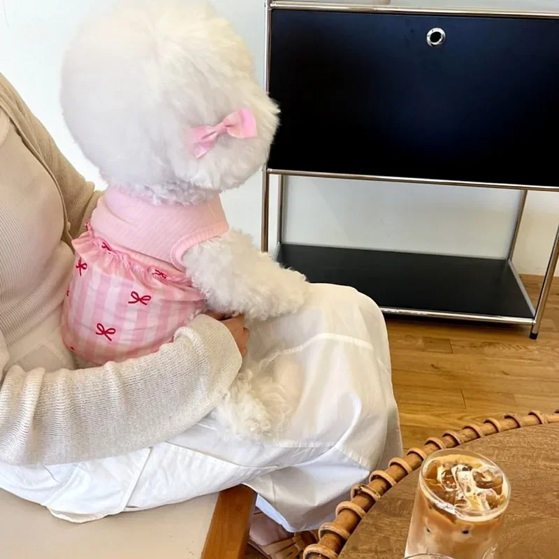 Ropa de verano con estampado de lazo para perros, vestido de princesa a rayas para cachorros, jersey de peluche con doble bloques de colores, falda Bichon Frise sin horquilla - imagen 2