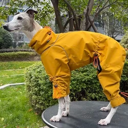 Chaqueta impermeable para perros medianos cuello alto transpirable