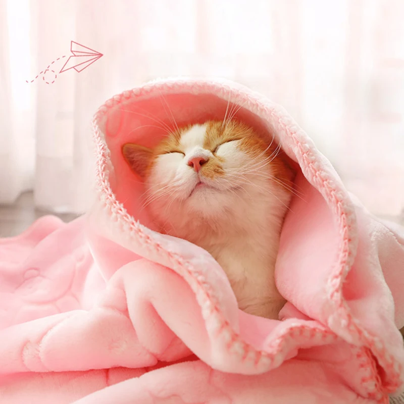HOOPET-Manta de invierno para mascotas, manta gruesa de lana para gatos, perros, edredón para bebés, manta suave y esponjosa de alta calidad para perros y gatos - imagen 3