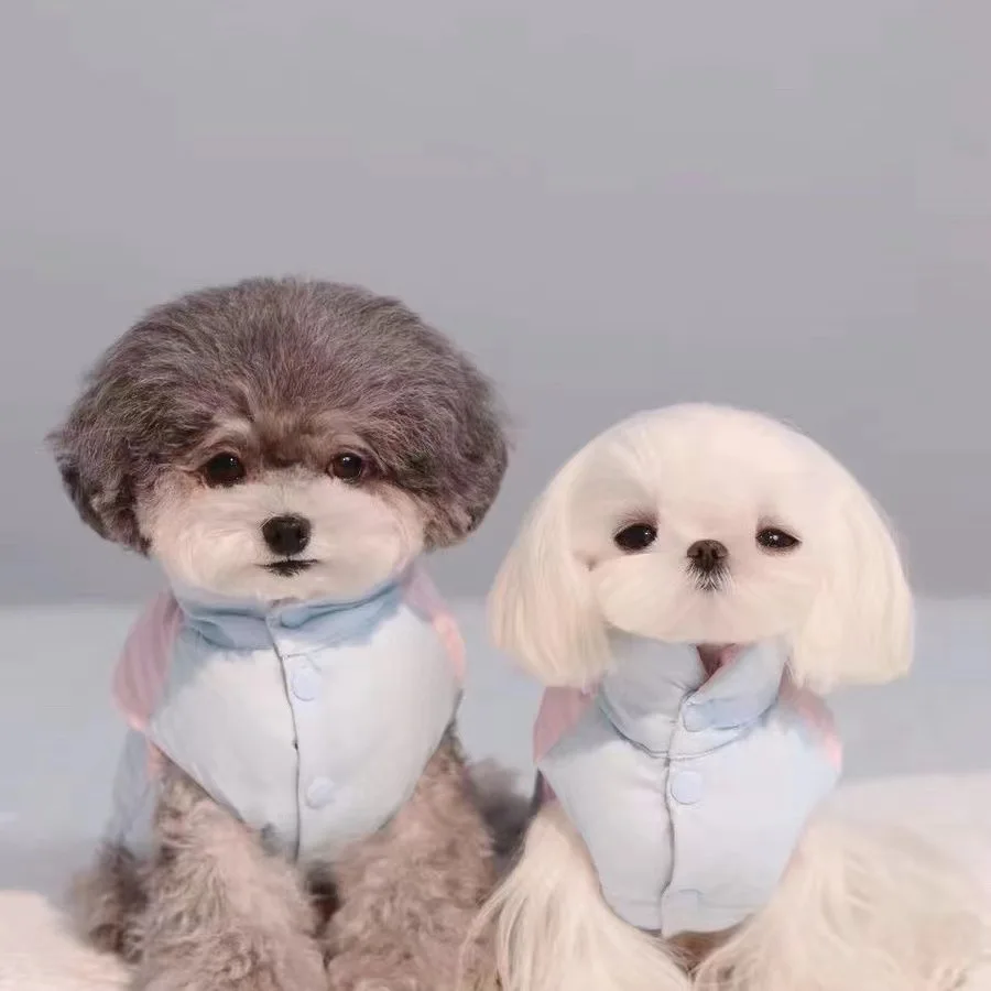 Abrigo de retales de Color helado de cuello alto para otoño e invierno para mascotas, abrigo grueso de invierno contrastante de peluche, ropa de otoño e invierno para gatos pequeños - imagen 2