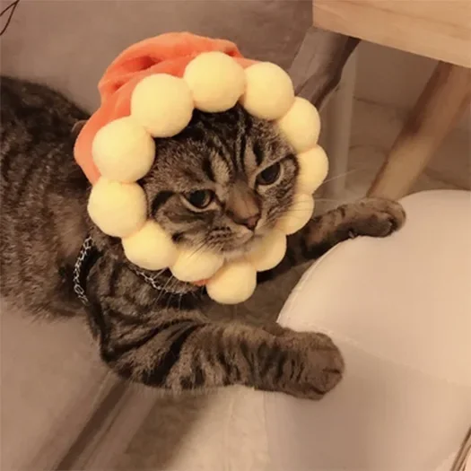 Sombrero de gato de Halloween, sombrero refinado para mascotas, gorro de punto para cachorros y gatitos, accesorios para sesión de fotos de fiesta, decoración, accesorios para gatos - imagen 4