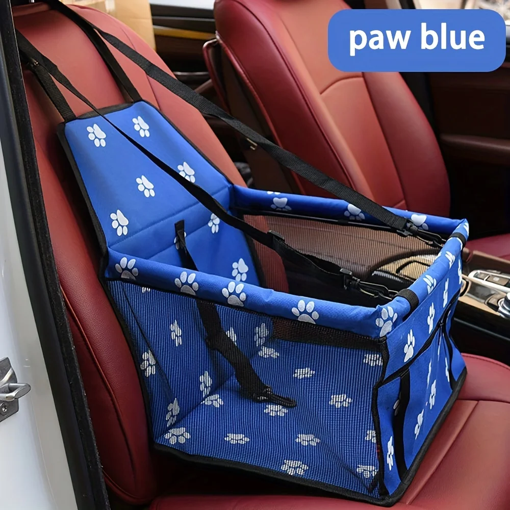 Paw Blue